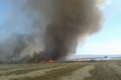 Batman’da anız yangınları başladı