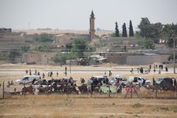 Telabyad semalarındaki uçaklar mültecileri korkuttu-video