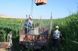 Tarladan kaçak trafo çıktı-video-foto