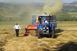Ramazan’a sayılı günler kala köylüler harıl harıl çalışıyor-video