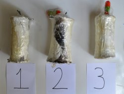 Li Diyarbekirê PKKyîyek digel bombeyan hat girtin