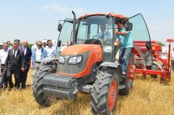 Adana’da anıza doğrudan ekim yapıldı