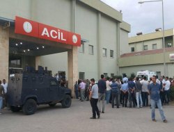 Li Hezexê zêrîngerek hat kuştin