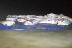 Kaçak balık avcılarına para cezası kesildi-foto