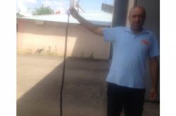 Bingöl’de itfaiyeden yılan operasyonu