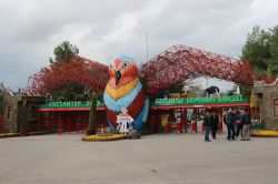 Ortadoğu’nun en büyük safari parkına yoğun ilgi