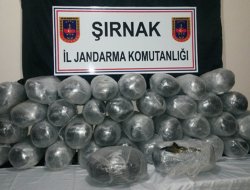 Şırnak’ta esrar operasyonu