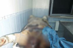 Silopi’de boğulmuş erkek cesedi bulundu-foto