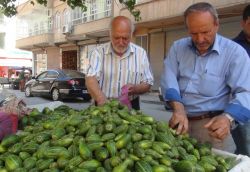 Yaz mevsiminin vazgeçilmezi acur tezgâhlarda-video-foto