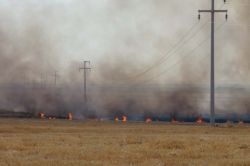 Kızıltepe’de çiftçilere ‘Anız Yakma!’ uyarısı