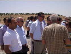 TOKİ, Bakkallar Odası İçin 500 Konut Yapacak