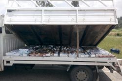 Adana’da kaçakçılık baskınlarında 11 kişi tutuklandı