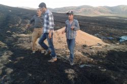 Batman’da çıkan yangın bin 100 dönümlük tarlayı küle çevirdi-foto