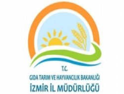 Itri ve tıbbi bitki yetiştiriciliği yaygınlaşıyor