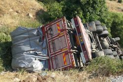 Sürüden kaçan kamyon şarampole yuvarlandı