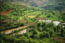 Çiftçilere ürünlerini sigortalama uyarısı