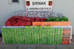 Şırnak’ta 59 bin paket kaçak sigara ele geçirildi-foto
