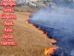 18 Köye Yayılan Yangın Devam Ediyor