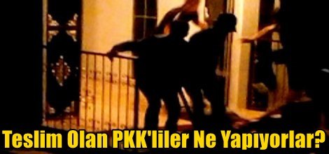 Teslim Olan PKK'lılar Ne Yapıyorlar?