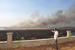 Kızıltepe’de anız yakmadan dolayı 50 kişiye tutanak tutuldu