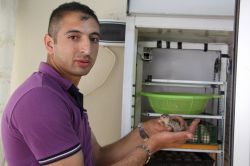 Silopili gençten otomatik kuluçka makinesi