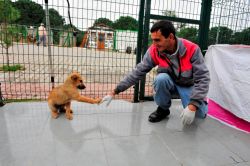 Bursa’da Sokak hayvanlarına şefkat eli uzatıldı