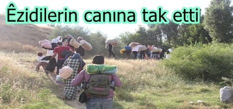 Êzidilerin canına tak etti video foto