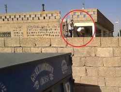 Cendirme zadên qatilan çinî