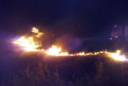 Anız yakana para cezası verilecek