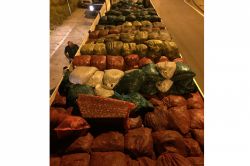 Bursa’da 10 ton kaçak midye ele geçirildi