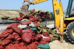 10 ton midye imha edildi-foto