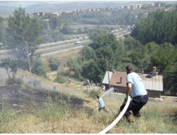Yılan Yüzünden Mahalleyi Yakacaklardı