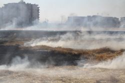 Mayınlı alanda çıkan yangın anıza sıçradı-foto