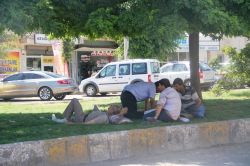 Midyatlılar Cami ve gölgelikleri mesken tuttu