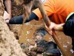 Endonezya'da Toprak Kayması: 4 Ölü