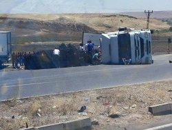 İpekyolu’nda meyve yüklü TIR devrildi