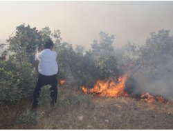 Bagok Dağı Cayır Cayır Yanıyor