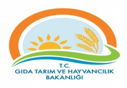 Mısır üreticilerine prim desteği