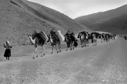 Uluslararası Fotoğraf Yarışmasında bu yıl Göç teması işlenecek