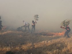 Şewatên Li Deşta Mêrdîn