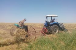 Don ve dolu mercimeği olumsuz etkiledi