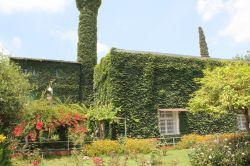 Sarmaşık cami görenleri hayran bırakıyor