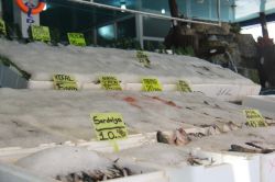 Esnaf balık satışlarından memnun