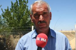 Çiftçi mercimeğin fiyatından memnun