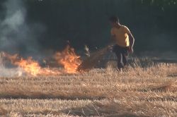 Uyarılara rağmen Gaziantep'te anız yakmalar devam ediyor foto