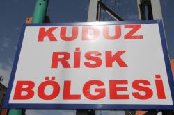 Van'da ‘kuduz Risk bölgesi’ tabelaları foto