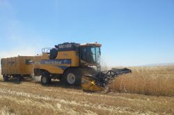 Biçerdöverciler hasat mevsimi boyunca ilden ile dolaşıyor