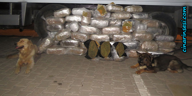 Diyarbakır’da 6 ayda bin 995 kişi yakalandı