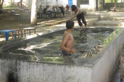 Sıcaktan bunalan çocukların tehlikeli oyunu