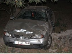 Bingöl-Muş Yolunda 2 Trafik Kazası